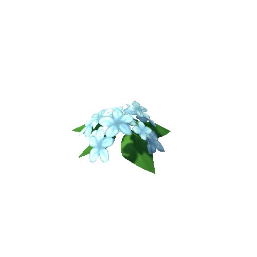 Plant_06a