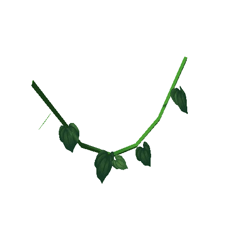 Plant_07a