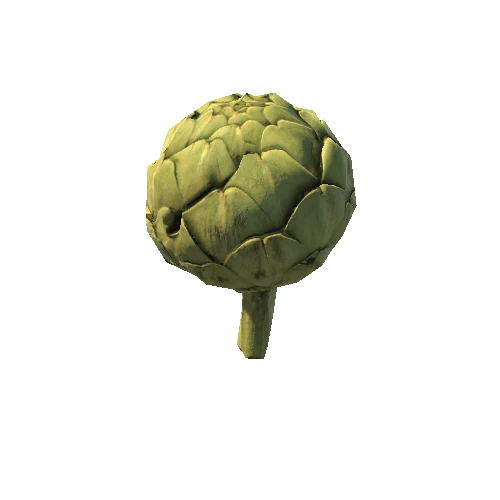 Artichoke_01