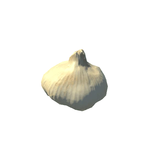 Garlic_01