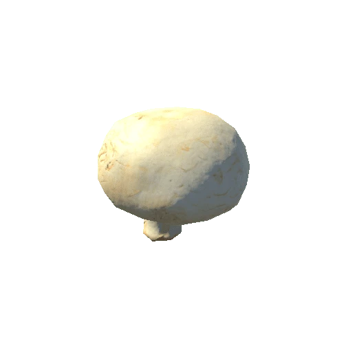 Paris_mushroom_01