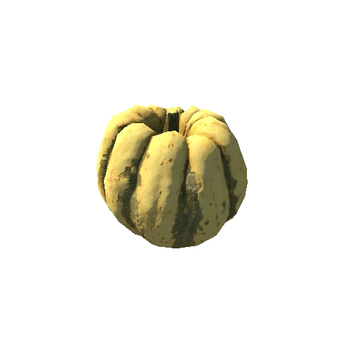 Squash_01