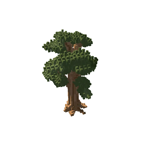 Pine_3