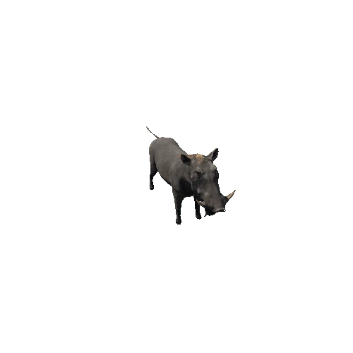 Warthog_Lowpoly