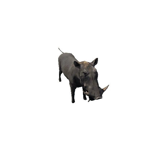 Warthog_Lowpoly_RM