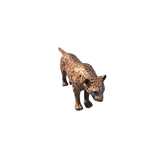 Leopard_SV_RM_HP