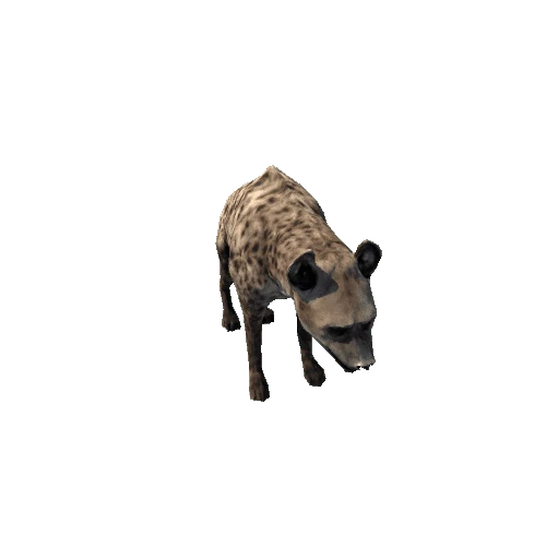 hyena_sv_rm_grey_SLP