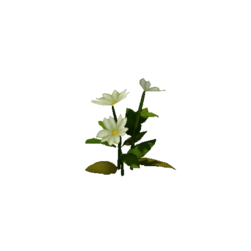 Flower_White_C