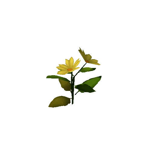 Flower_Yellow_B