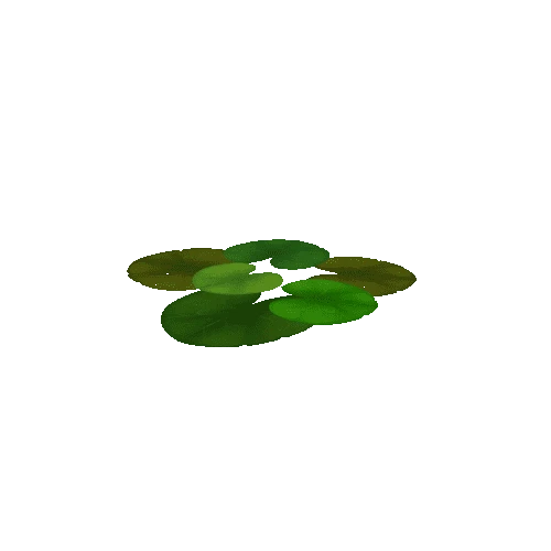 Lily_Pad_Leaf_B