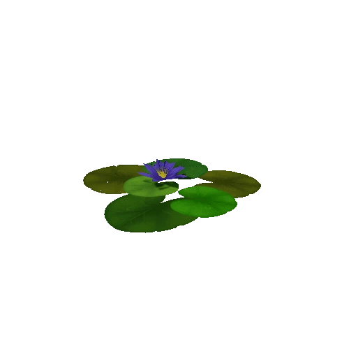 Lily_Pad_Purple_B