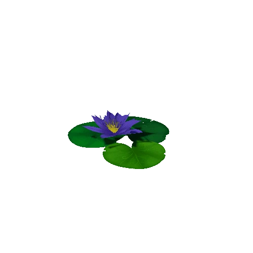 Lily_Pad_Purple_D