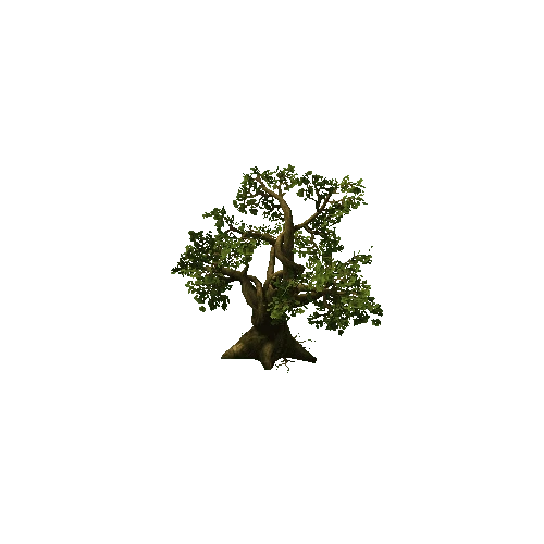 Tree01_A