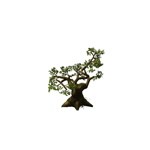 Tree01_B