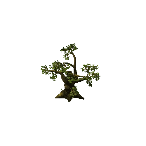 Tree01_C