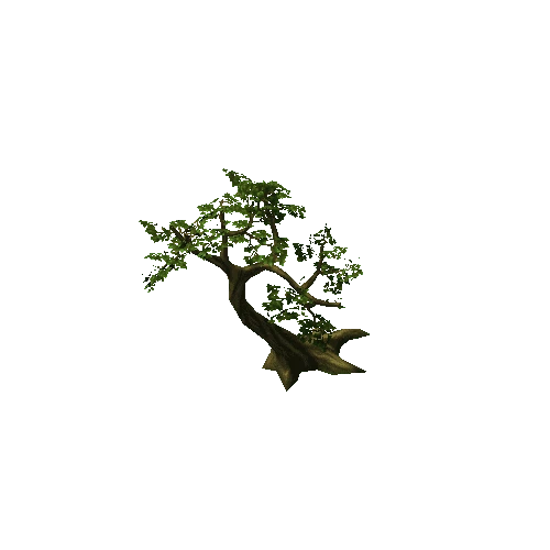 Tree02_A