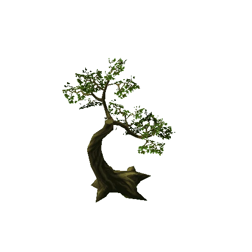 Tree02_B