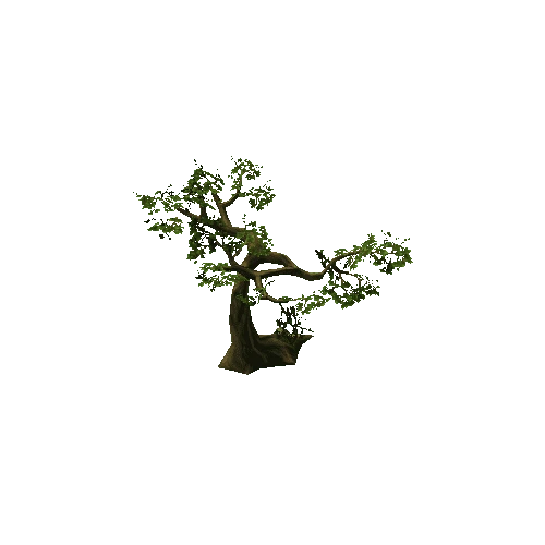 Tree02_C