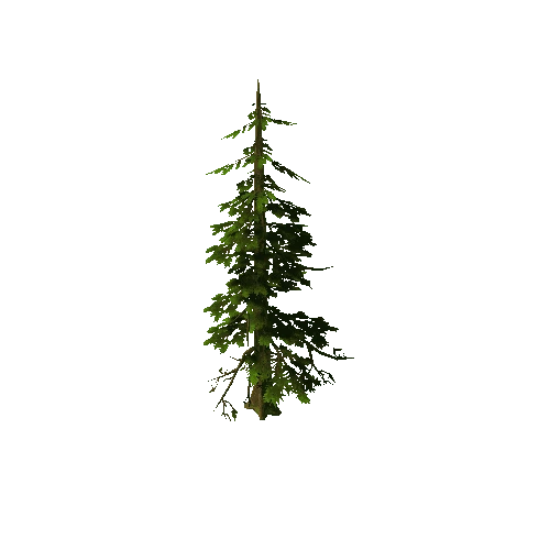 Tree03_02A