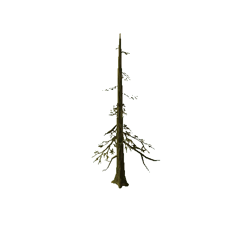 Tree03_09A