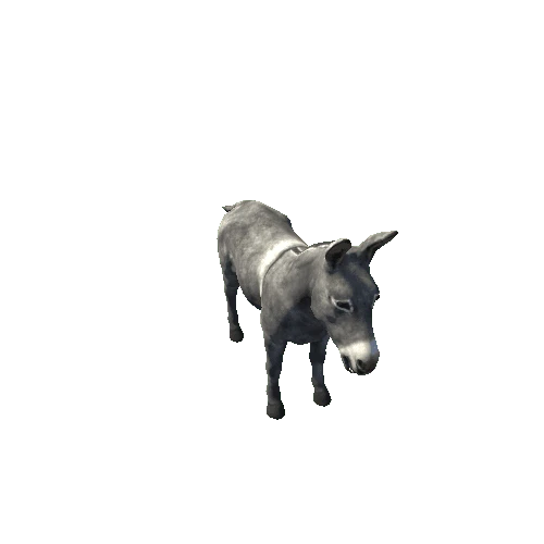 Donkey_Highpoly_RM