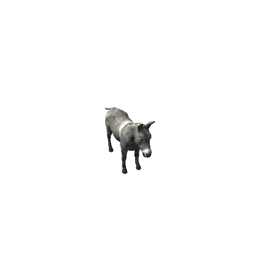 Donkey_SuperHighpoly