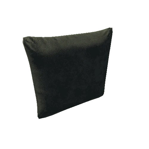 cushion2-low