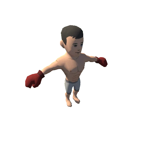 Boxer