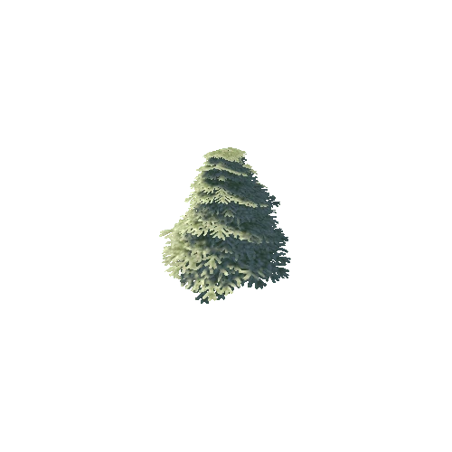 Larch01_SNOW