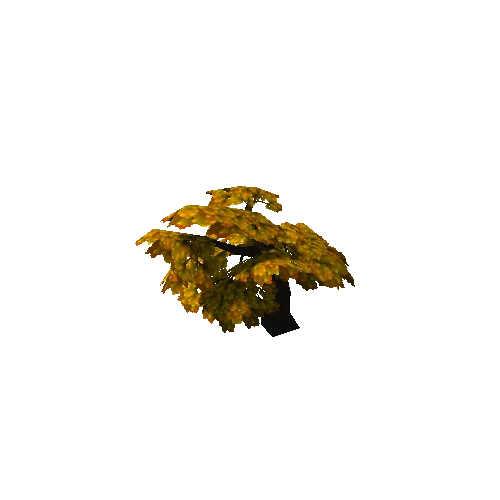 Maple01_GOLD