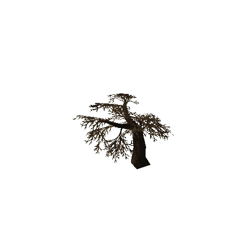 Maple01_NO_LEAVES