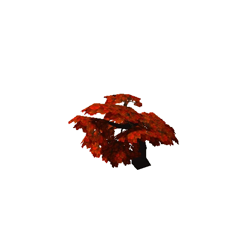 Maple01_RED