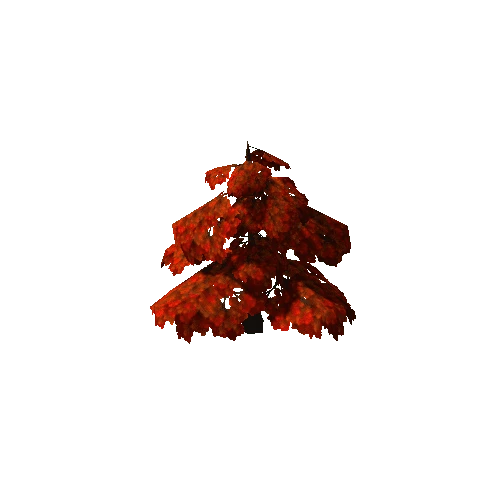 Maple03_RED
