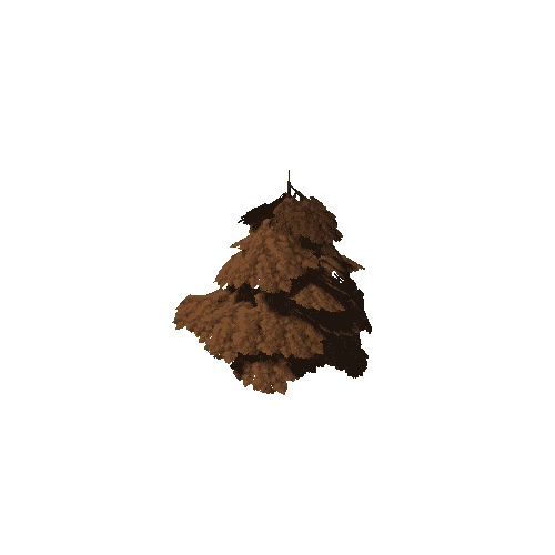 Oak01_DRY