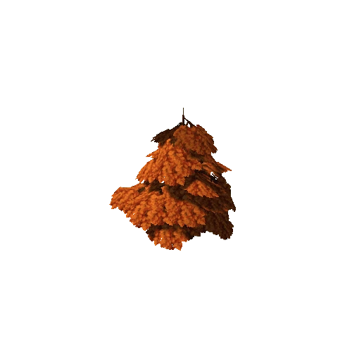 Oak01_ORANGE