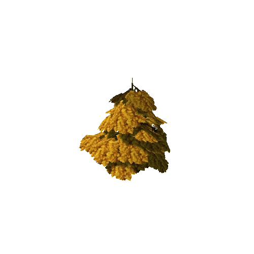 Oak01_YELLOW