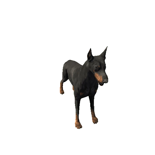 Doberman_Highpoly