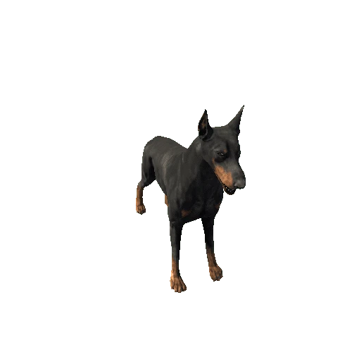 Doberman_Highpoly_RM