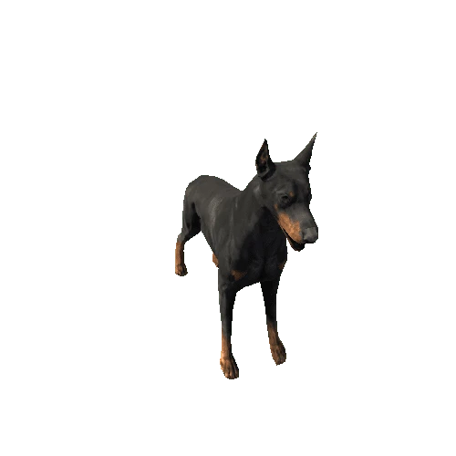 Doberman_Lowpoly