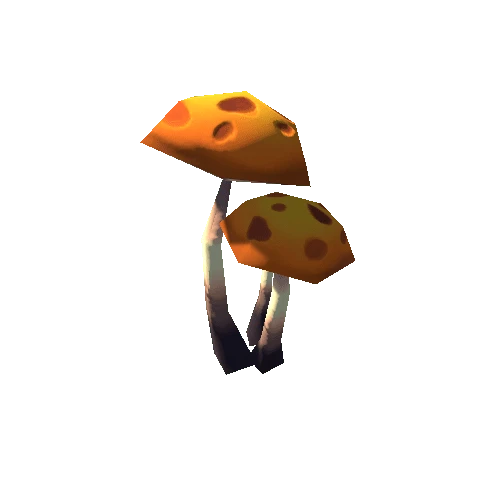 Mushrooms