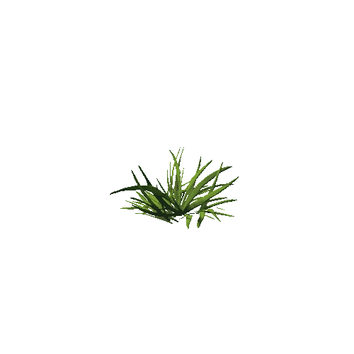 PlantGrass