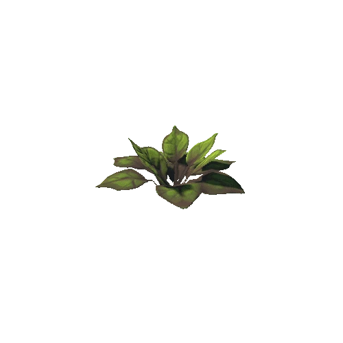 PlantLeafy