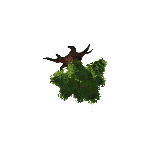 TreeFace_LeafyGreen