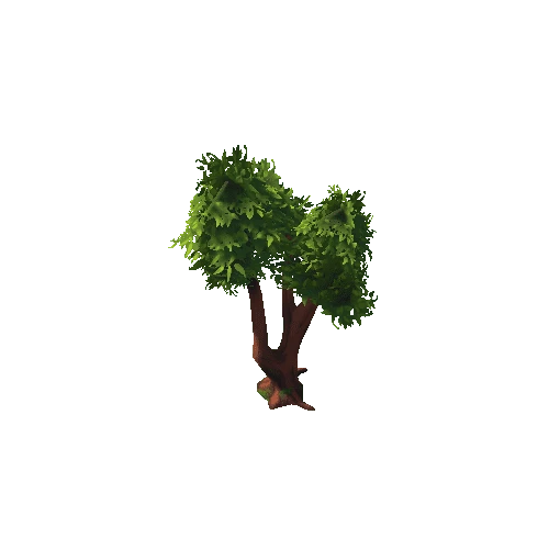 TreeTallB_LeafyGreen