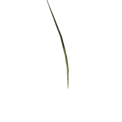 Long_Grass_05