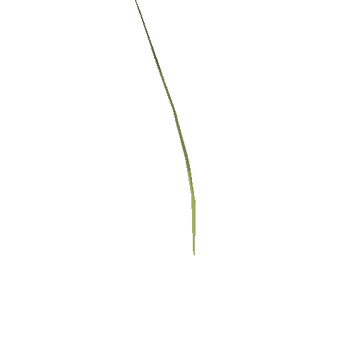 Long_Grass_06