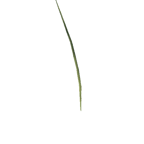 Long_Grass_07