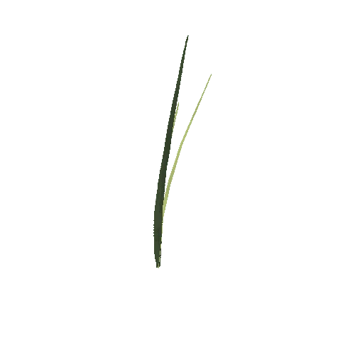 long_grass_01