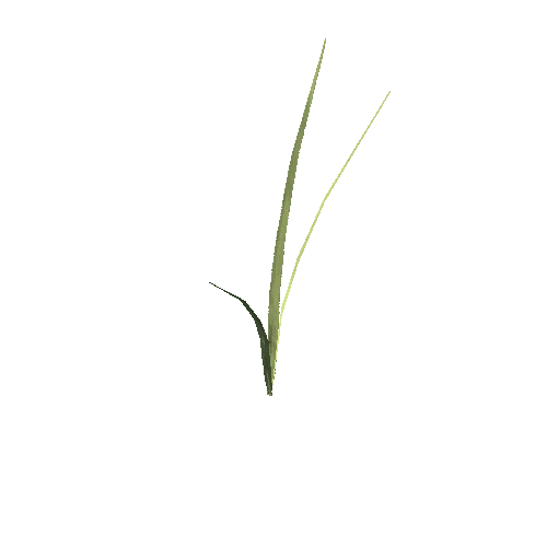 long_grass_02