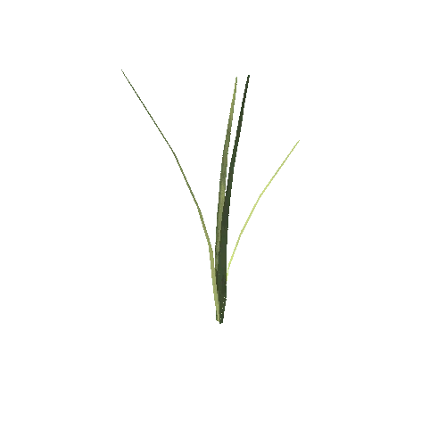 long_grass_03